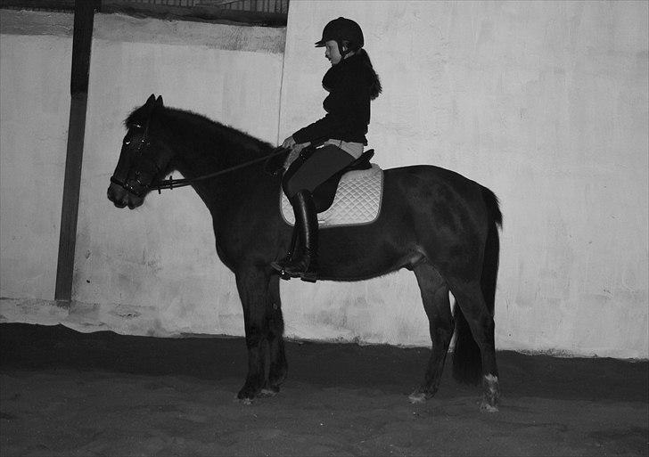 Traver Gismo Silk billede 8