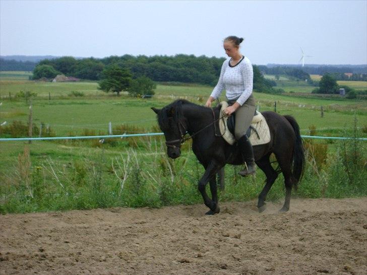 Anden særlig race stald englunds naomi - dressur træning :) billede 5