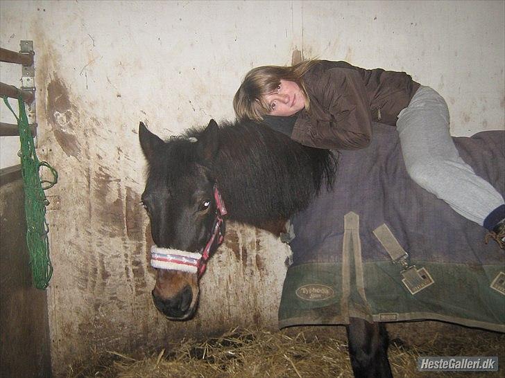 Anden særlig race Brune  [Savnet :'* ] - 13# billede 13