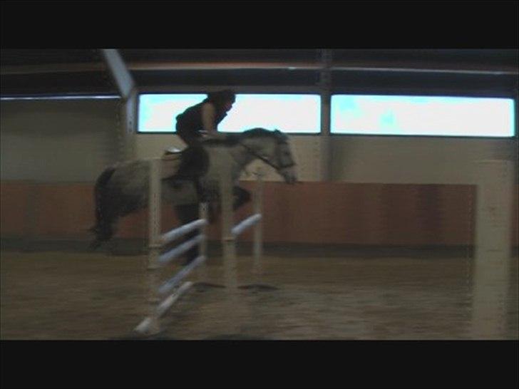 Connemara Emerald Eva * Soulmate * - 120 !! billede 7