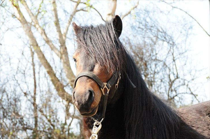 Anden særlig race Maccoy - VELKOMMEN TIL MACCOY´S PROFIL :D <3 billede 1