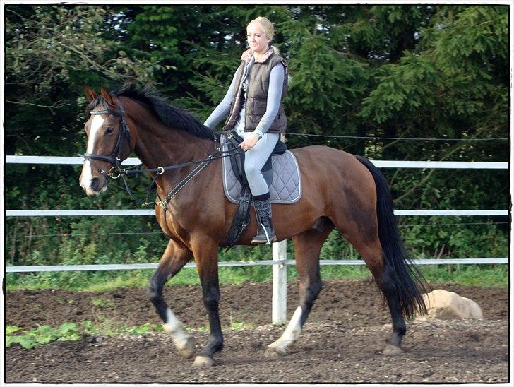 Dansk Varmblod # Limelight #  - 07-10-2010  Limelight og hans ejer billede 13