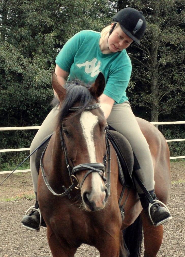 Dansk Varmblod # Limelight #  - 30-09-2010 billede 18