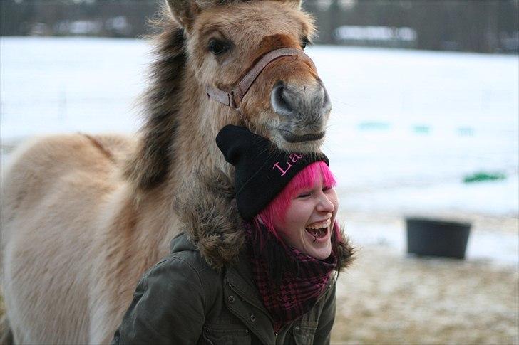 Anden særlig race Sexy Lover - Mennesker er også gode at lege med ! Lover og jeg vil altid være gode legekammerater! billede 5