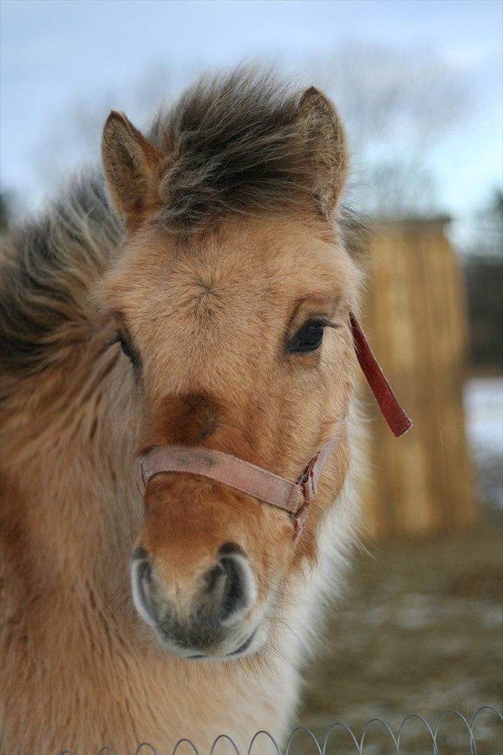 Anden særlig race Sexy Lover - Hold da helt kæft hvor lækker har man lov til at være? billede 6