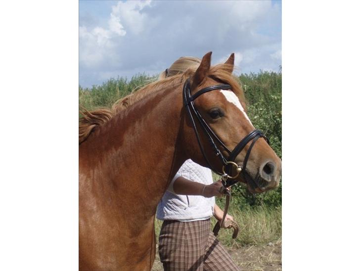 {{currentPhoto.altText}} billede {{currentPhoto.number}}