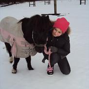 Shetlænder Cindy<3 Himmelhest :'(