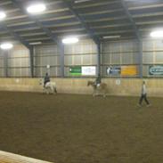 Gotlandsruss Grunk R.I.P 