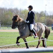 Islænder Hrókur fra Eystri-Hól