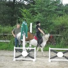 Anden særlig race Perle *RIDE SKOLENS*