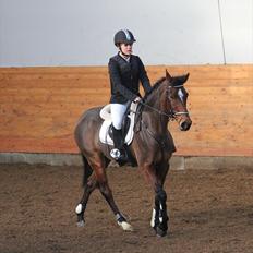 Anden særlig race Kehops De Nonville