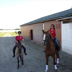 Anden særlig race Lola