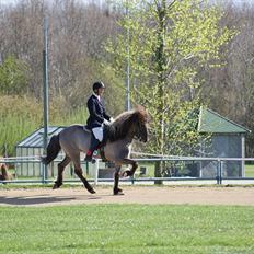 Islænder Hrókur fra Eystri-Hól