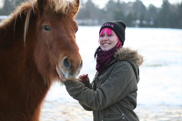 Islænder Feykir - Januar 2011 Happy Days !  billede 16