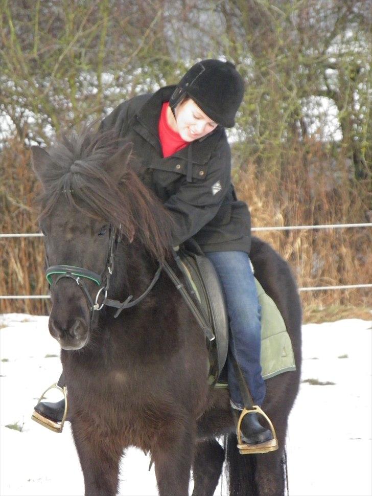 Islænder Faxi - 8. Januar 2011, første gang jeg rider islænder:) billede 2