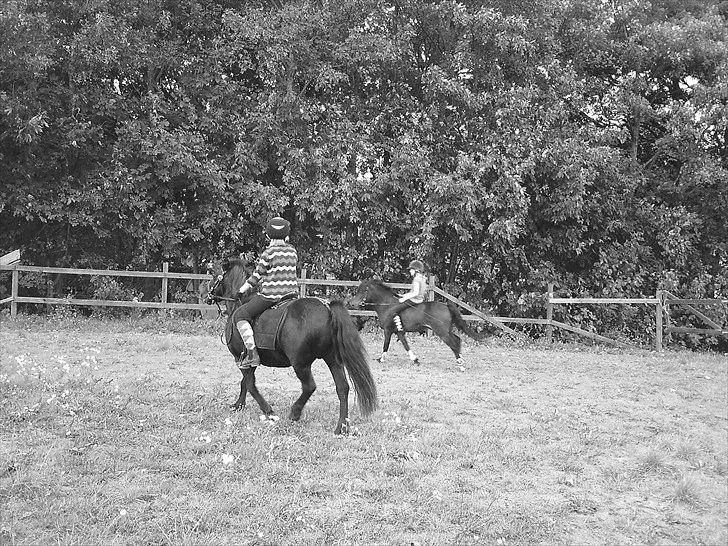 Anden særlig race Zeberg's Tut (solgt) - tut mig mickey og maria hygge dag :D billede 11