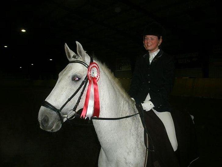 Hollandsk Sportspony Look At Me - SOLGT billede 6