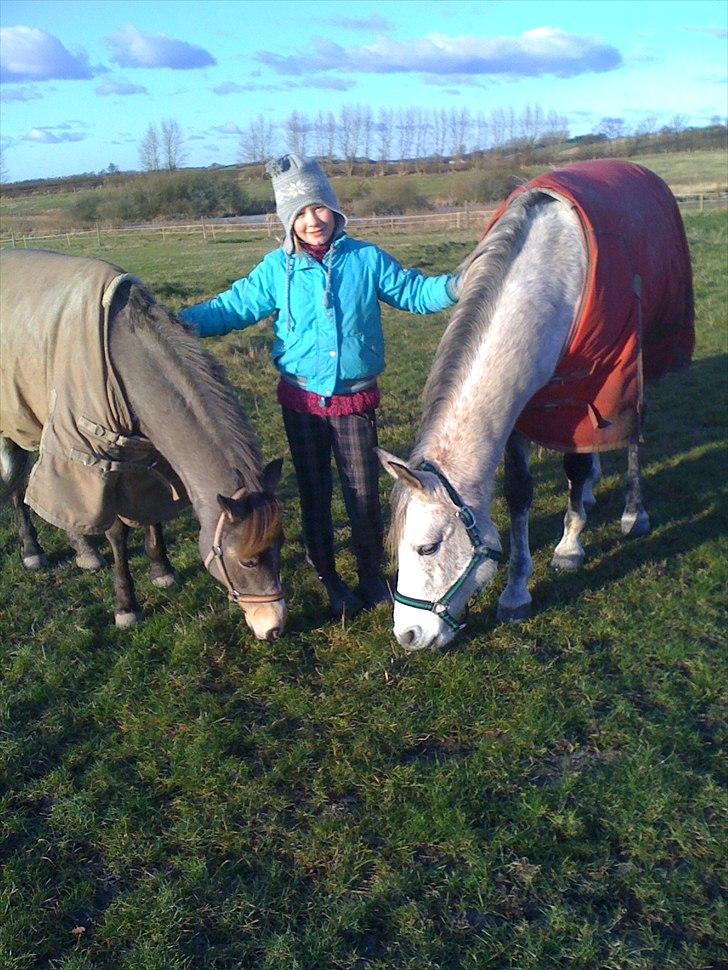 DSP o'hara billede 3