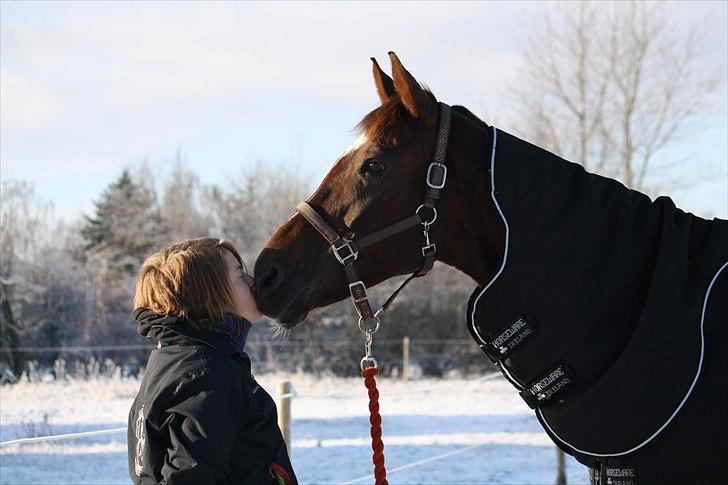 Oldenborg Egelund Nova - Fotograf: Hanne Pedersen (: billede 7
