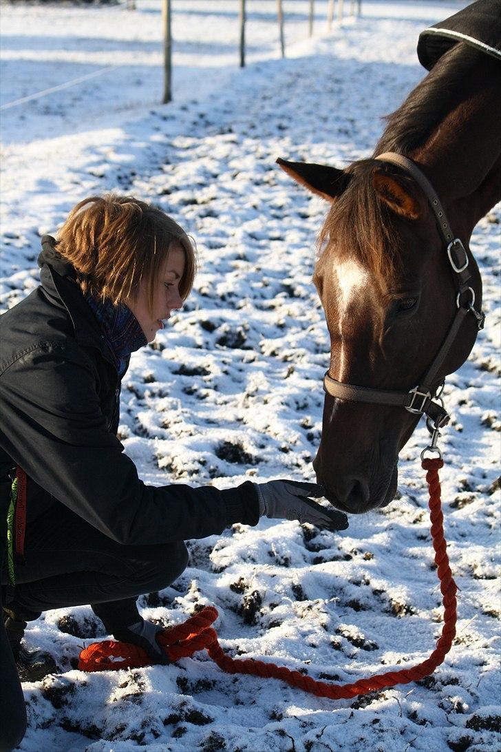 Oldenborg Egelund Nova - Aldrig i mit liv har jeg ejet noget så smukt som dig. 
Fotograf: Hanne Pedersen (: billede 8
