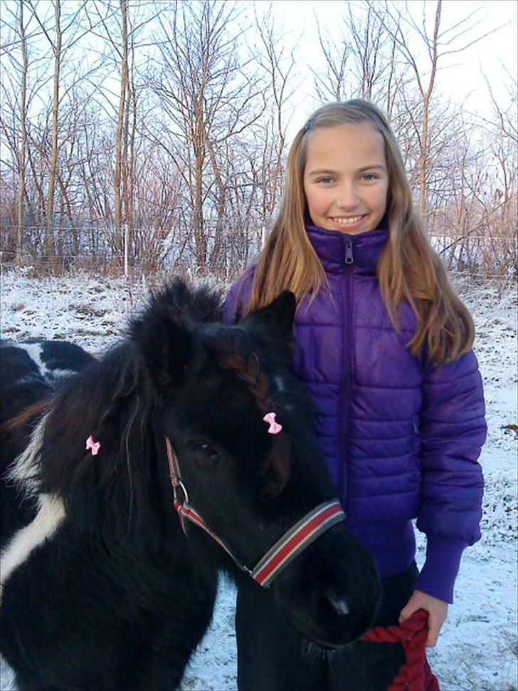 Shetlænder Josephine  *min moster´s - Mig og smukke Josephine billede 18