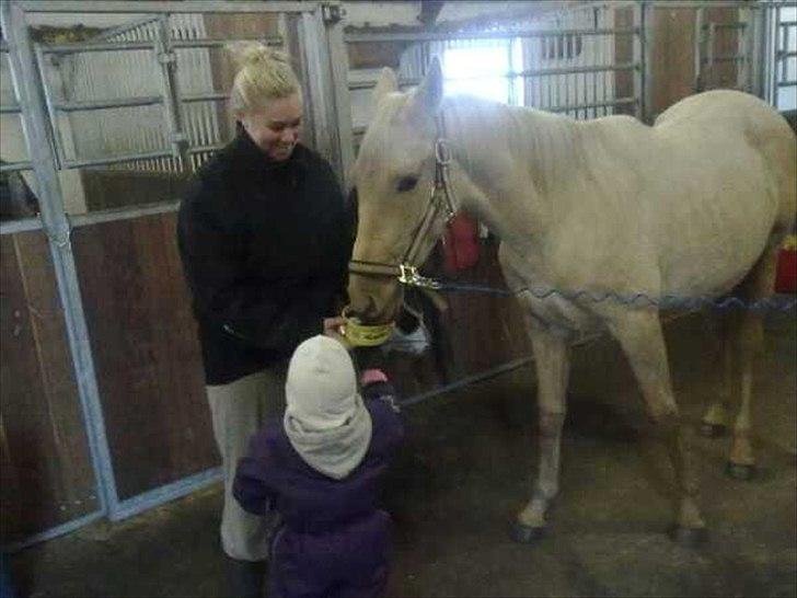 Anden særlig race Zantiago/Felix (Solgt til malene) - feb 2011.. billede 10