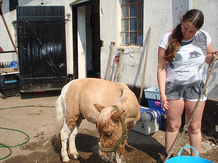 Anden særlig race benny  billede 2