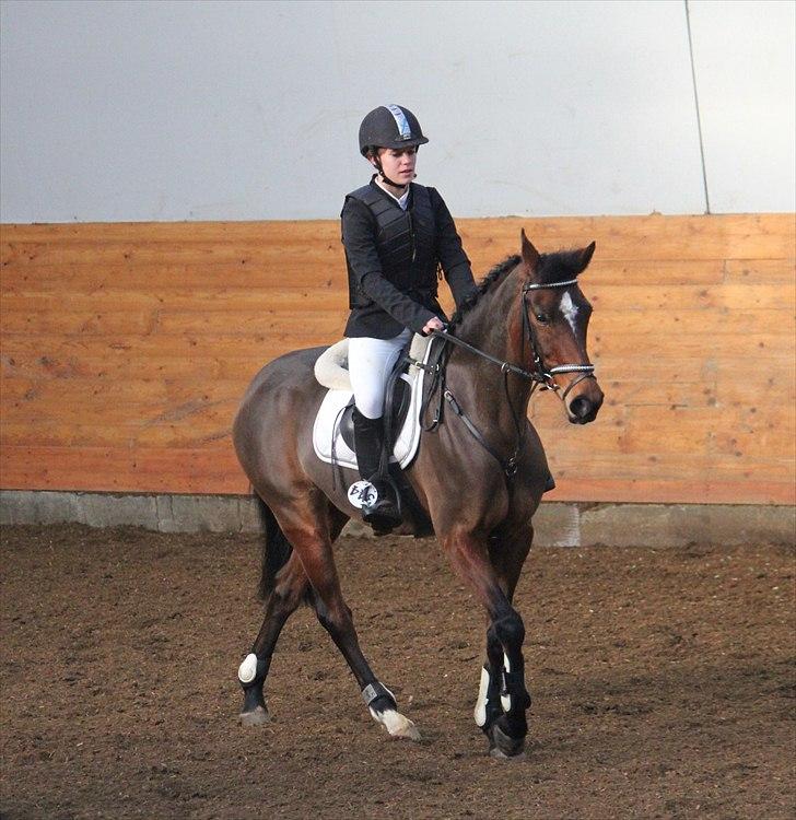 Anden særlig race Kehops De Nonville - Billedet er taget af Nadja Eskesen(: billede 2