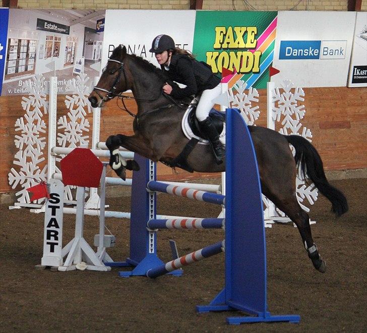 Anden særlig race Kehops De Nonville - Foto: Nadja Eskesen billede 3