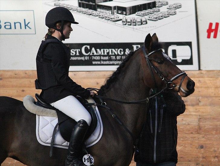 Anden særlig race Kehops De Nonville - Præmie overekelse 4 plads . Foto Nadia Eskesen billede 5