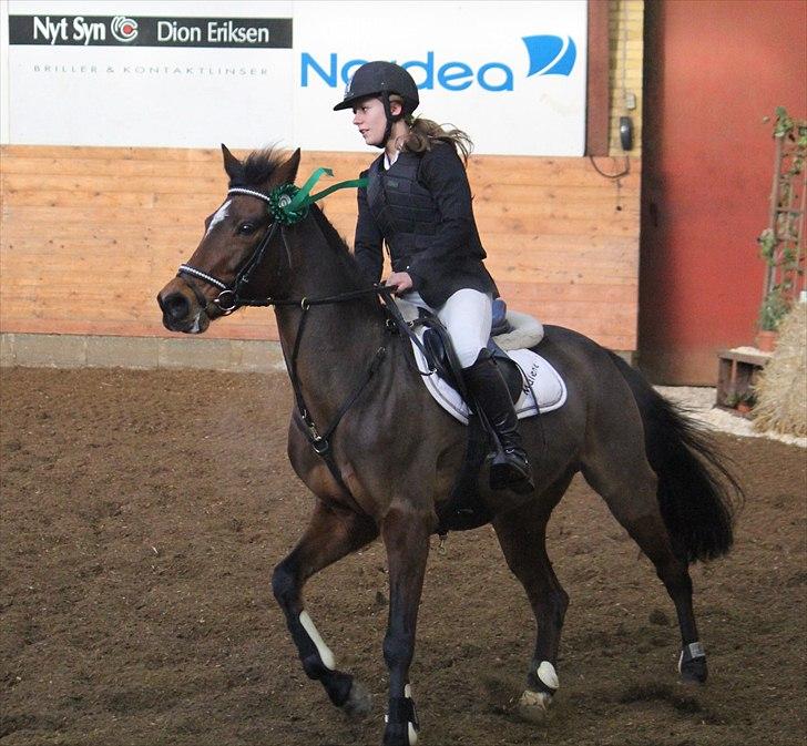 Anden særlig race Kehops De Nonville - Æresrunde (: Foto: Nadia Eskesen billede 6