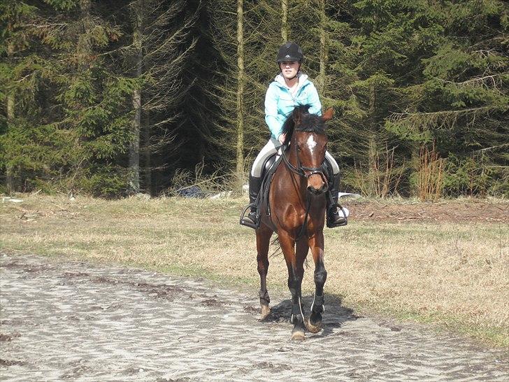Anden særlig race Kehops De Nonville - aller første gang jeg prøvede hende foår 2010 billede 7