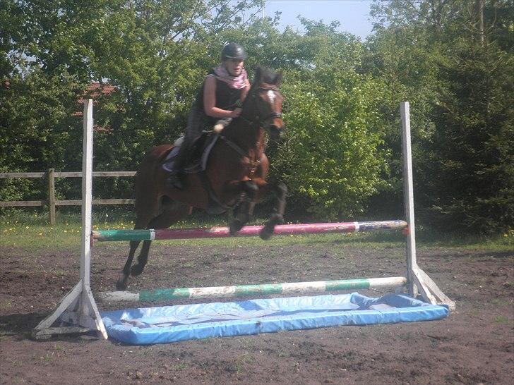 Anden særlig race Kehops De Nonville - synes det her billede er så sødt  :) 
Hyggespring i Hammerum billede 8