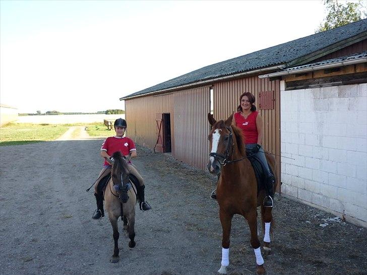 Anden særlig race Lola billede 2
