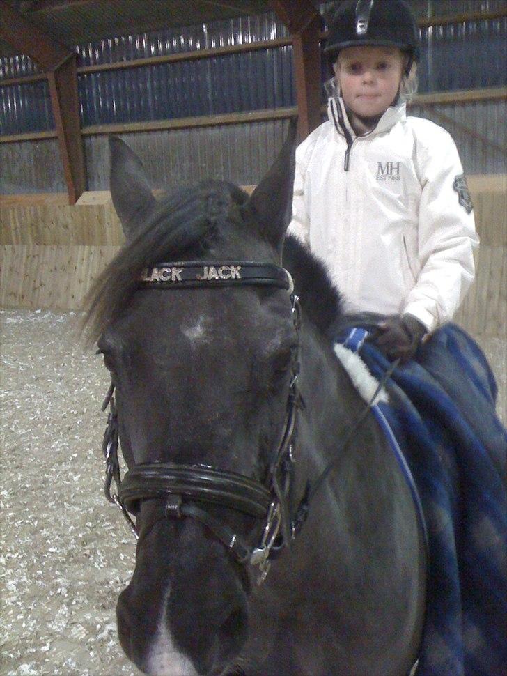 Anden særlig race Engtoft's Black Jack (solgt & savnet) - føste gang jeg rider dig hjemme billede 1