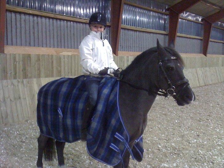 Anden særlig race Engtoft's Black Jack (solgt & savnet) - du er en prins billede 5