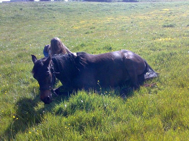 Anden særlig race Benito RIP my soulmate <3 - Med dig kunne jeg alt! Med dig var jeg aldrig bange! Med dig var jeg aldrig ked af det! Med dig havde jeg de bedste stunder! Nu kan jeg intet. Nu er jeg bange. Nu er jeg altis ked af det. Nu har jeg ingen gode stunder med min soulmate! :'( billede 3