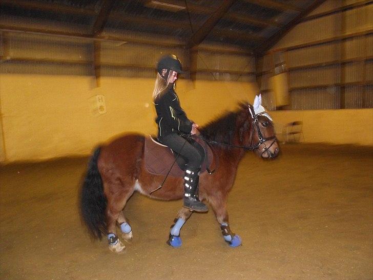 DSP Bæklunds Maxi  billede 11