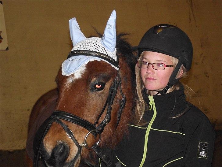 DSP Bæklunds Maxi  billede 12