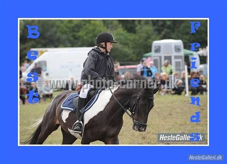 Pinto Jupiter RIP - Ponyuge 2009:*) billede 12