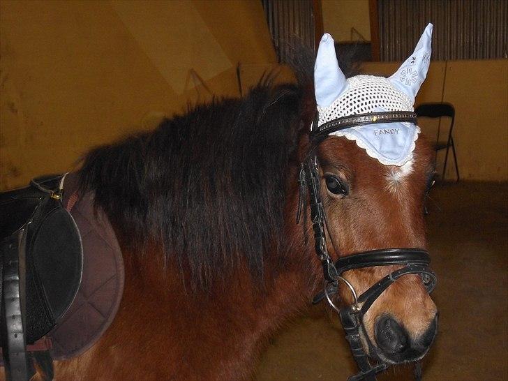 DSP Bæklunds Maxi  billede 13