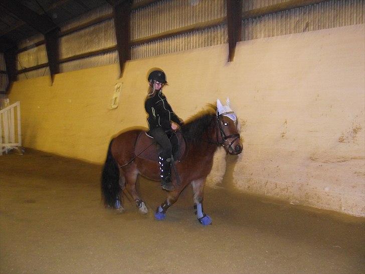 DSP Bæklunds Maxi  billede 14