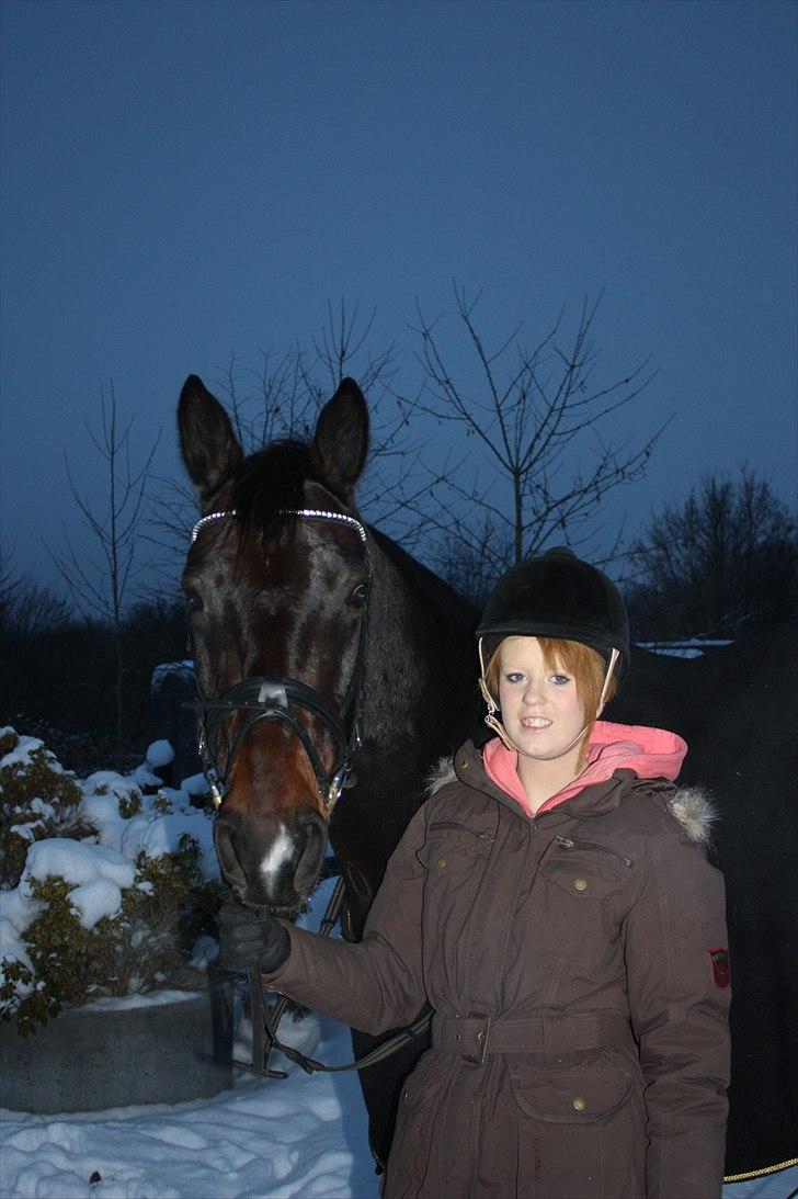 Oldenborg Tango Hedenstedskov billede 5