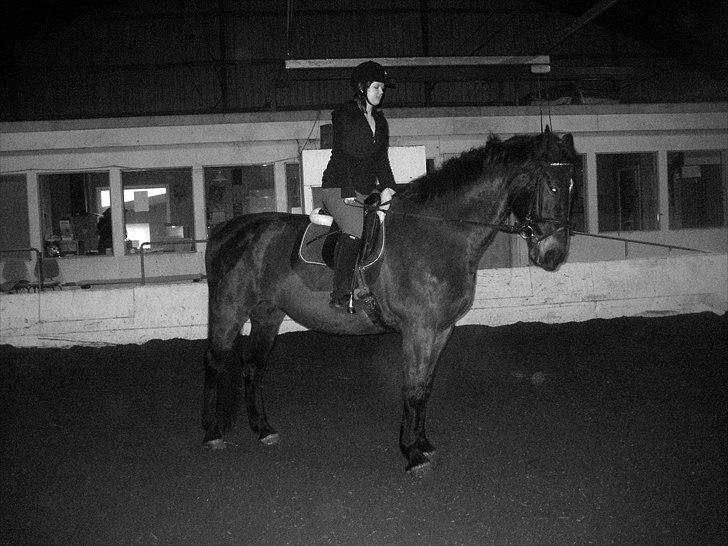 Anden særlig race Lucy rideskole(aflivet) - hehe ved godt at jeg sidder lidt mærkeligt men det er fordi at hun slår med hovdet og hiver mig frem:D billede 10