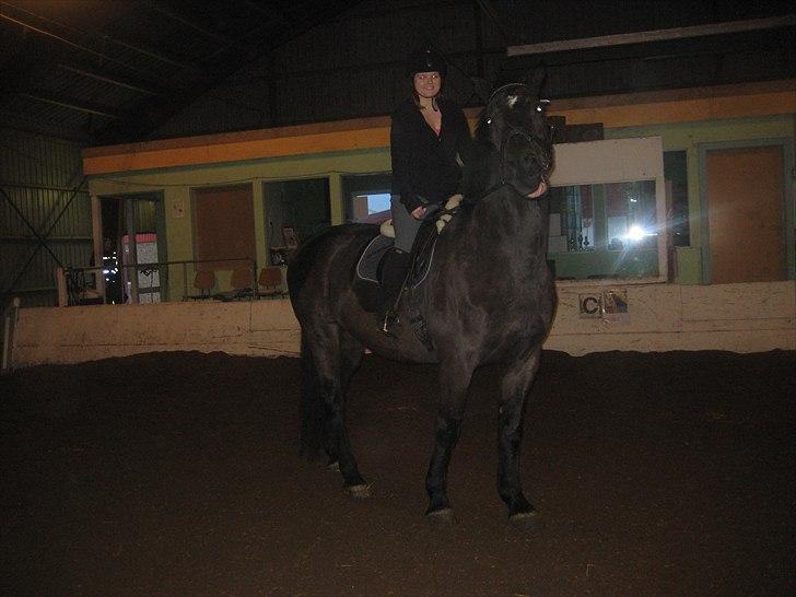 Anden særlig race Lucy rideskole(aflivet) - Hehe:D billede 11