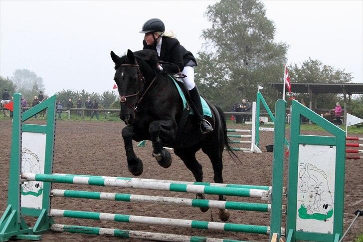 Oldenborg Montana Vestermølle, Solgt til Fredensborg. - hun kan også godt springe :-) billede 15