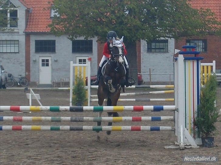 Anden særlig race Tatoo - seje Tatoo<3 billede 2