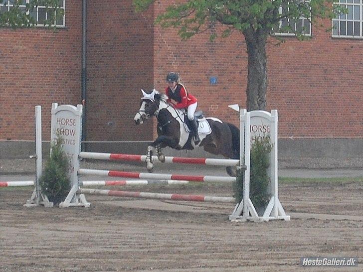 Anden særlig race Tatoo - Jeg elsker dig Basse :-* billede 3