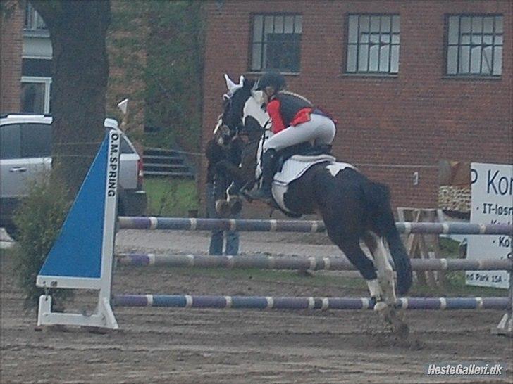 Anden særlig race Tatoo - Tuttemusen<3 <3 <3 billede 4