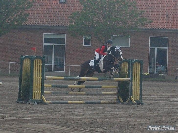 Anden særlig race Tatoo - skriv gerne en kommentar eller bedømmelse! :-D billede 5